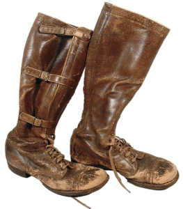 Ehrenpreis-boots